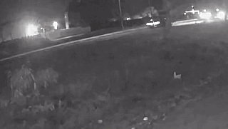 VÍDEO: Câmera mostra momento em que homem morre atropelado na Capital