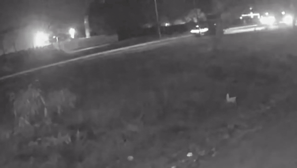 VÍDEO: Câmera mostra momento em que homem morre atropelado na Capital