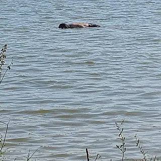 Corpo de homem é encontrado boiando em lagoa de Três Lagoas