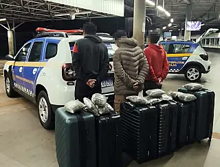 GCM apreende quase 92 kg de maconha em malas na rodoviária de Campo Grande
