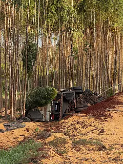 Vídeo: Carreta carregada com milho tomba e motorista morre na MS-388