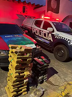 Motorista foge a pé após abandonar carro com 71 kg de drogas na BR-060