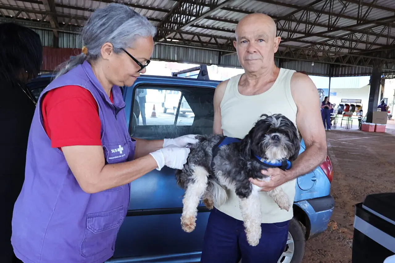 Dourados inicia vacinação antirrábica itinerante para cães e gatos em dois bairros nesta semana
