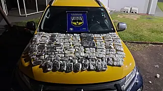 Mulher é presa com haxixe avaliado em R$ 1,1 milhão em ônibus na MS-306