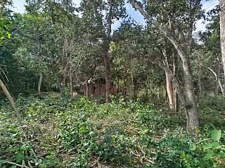 TJMS dá 30 dias para desocupação de área irregular às margens do Rio Taquari