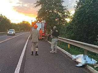 Carreta atropela e mata mulher na BR-262 e motorista foge sem prestar socorro
